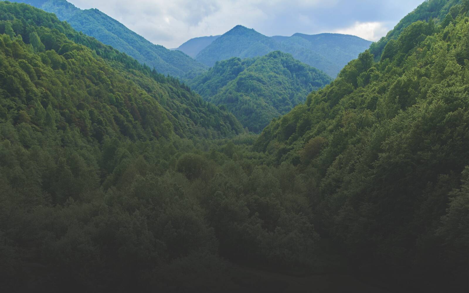 Every Time You Print, We Plant