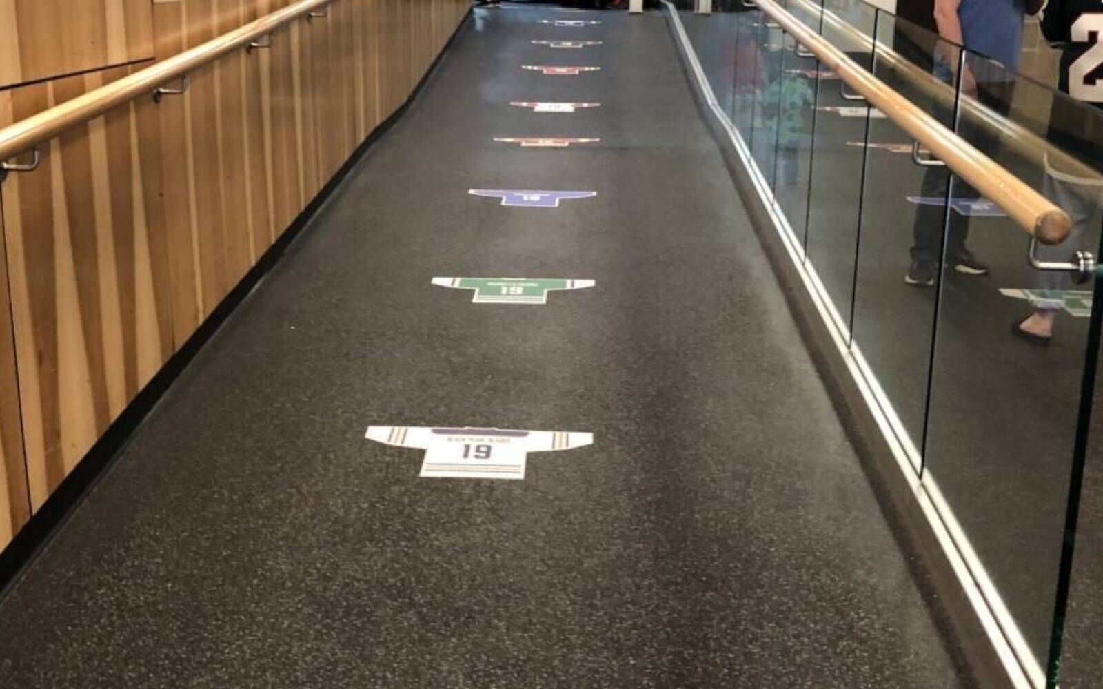 Environmental Graphic Design: Shaping Spaces and Brands