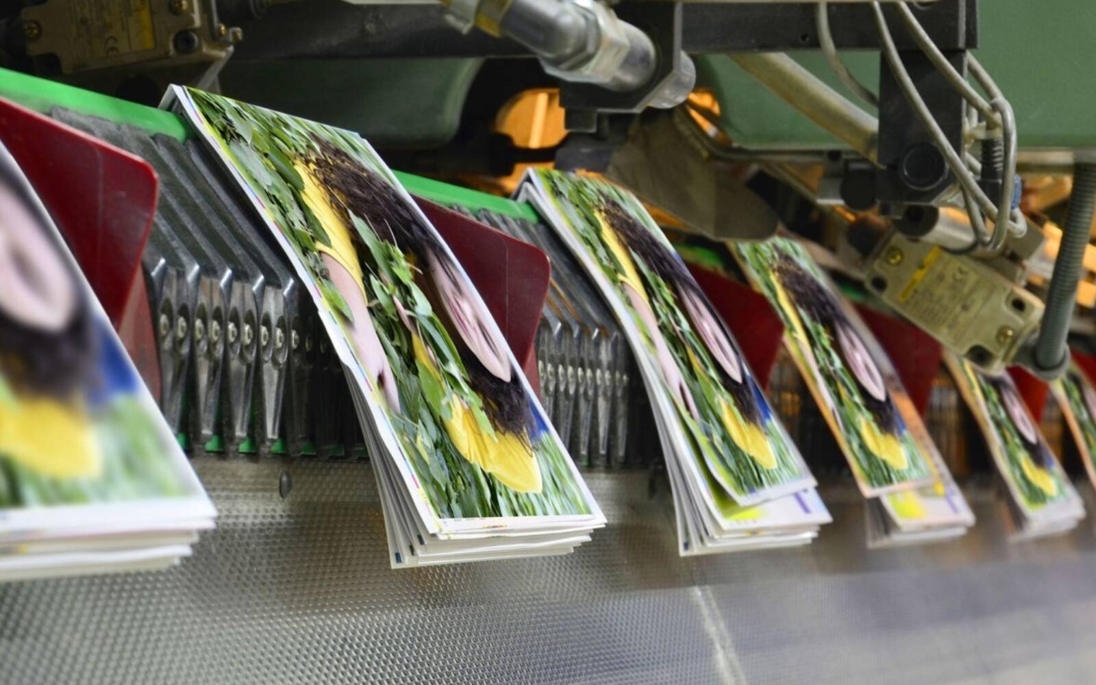 Commercial and Industrial Printing for Your Business - Everything You Need to Know