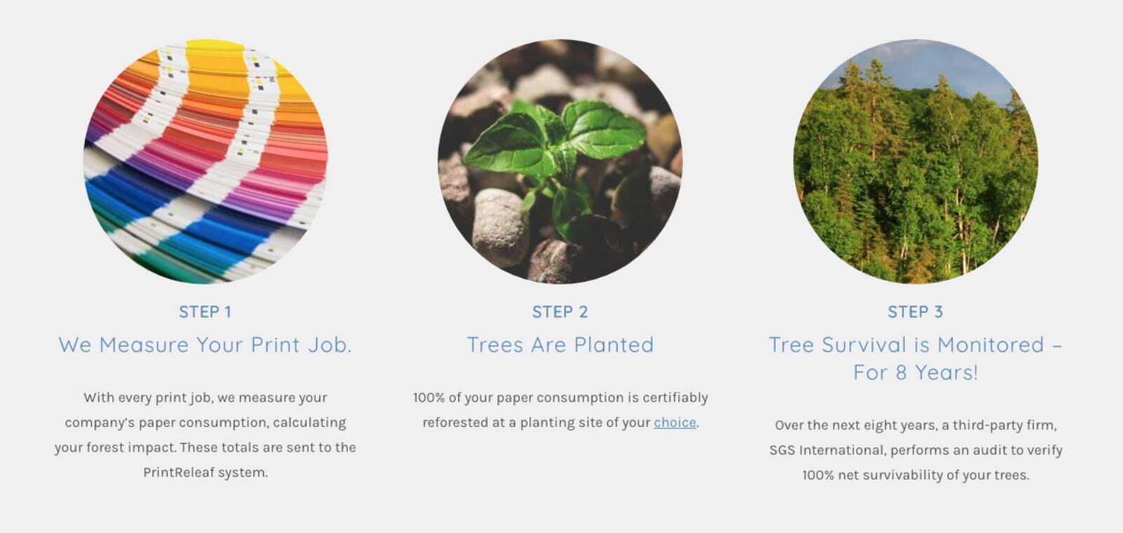 Print Releaf How It Works Graphic 2