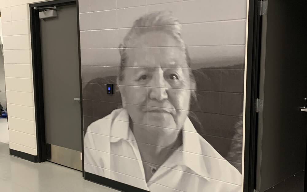 Tsuu Tina Manyhorses High Vinyl Black And White Image Applied Directly To Textured Wall