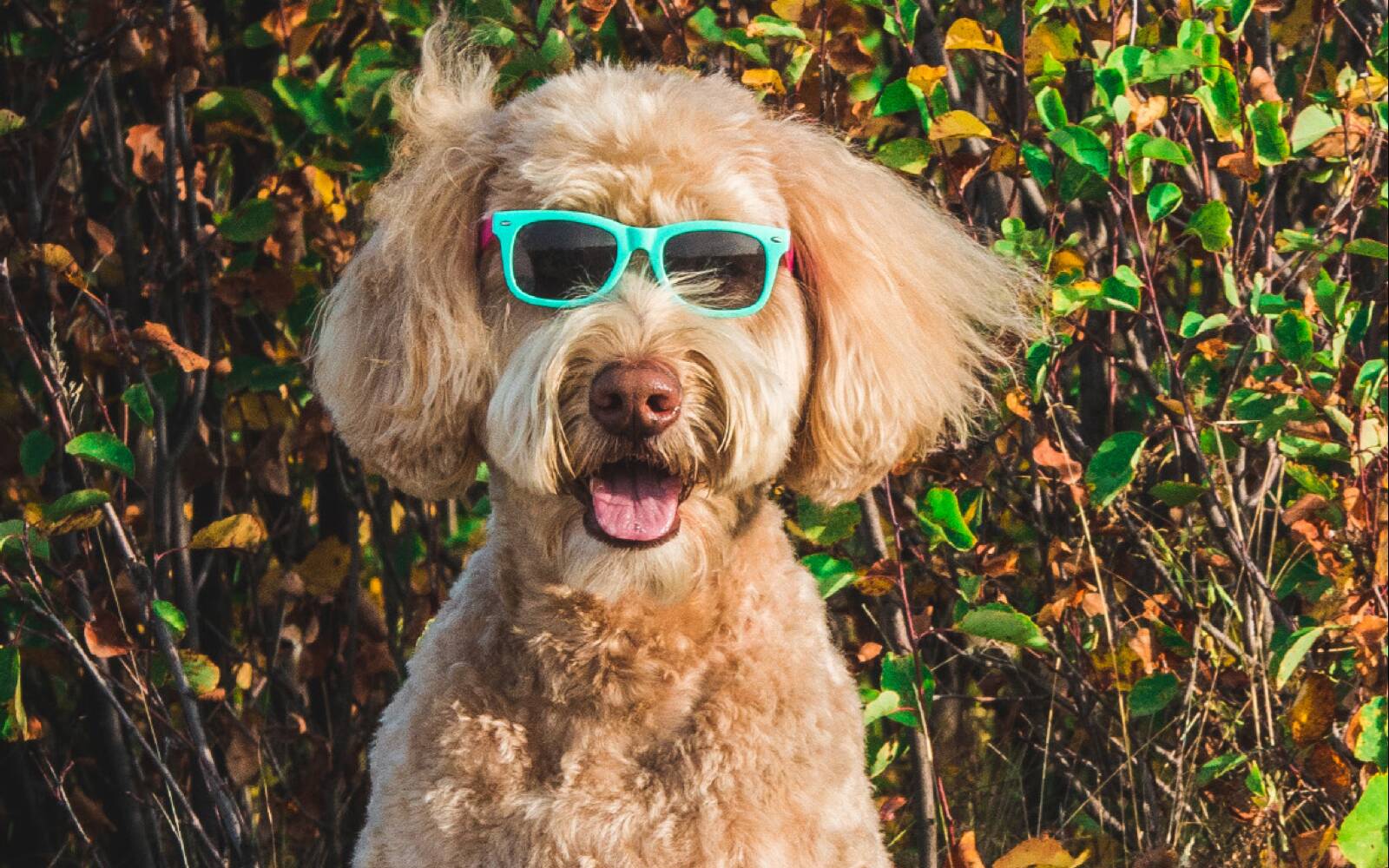 6 super creative printed marketing pieces that use embellishments for maximum impact