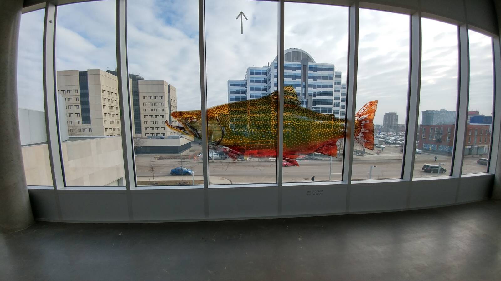 Translucent Fish Graphic