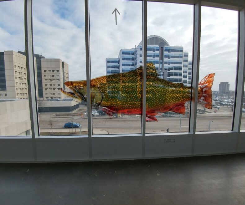 Fish Wall Graphic