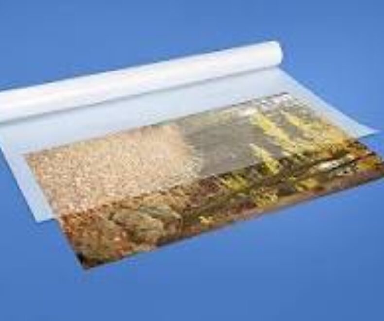 Vellum Printing Carbon Graphics Group